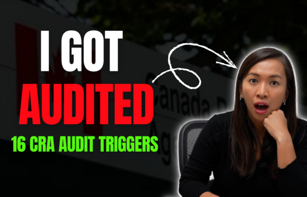 What Really Makes the CRA Pick Your File for an Audit  